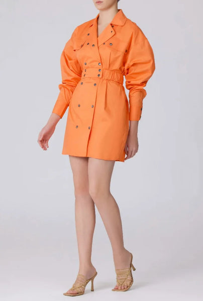 BUY: C/meo Collective Function Dress in Papaya