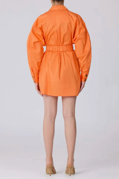 BUY: C/meo Collective Function Dress in Papaya